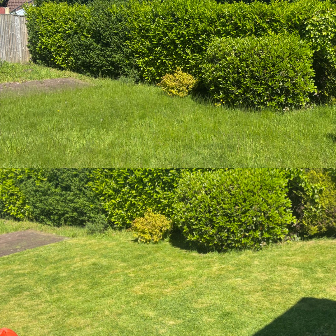 Garden maintenance